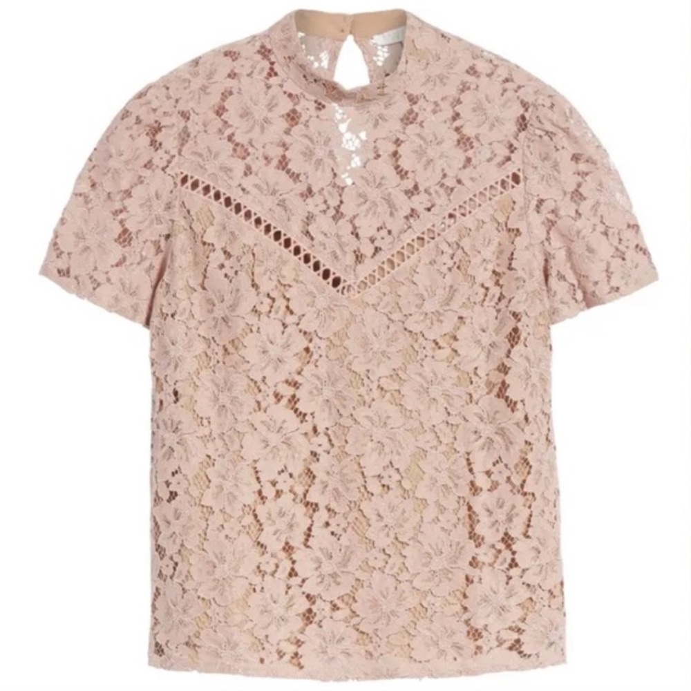 Wayf Elegant Lace Top in Blush Pink Nude